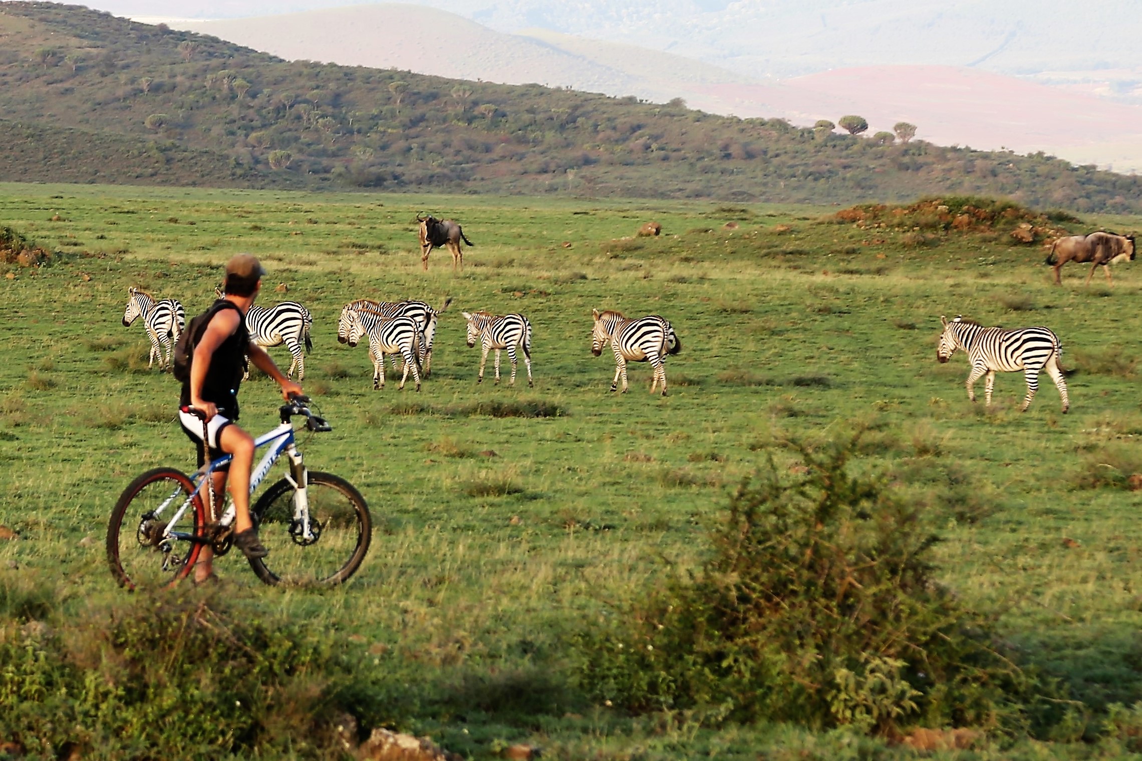 Cycling safari adventure