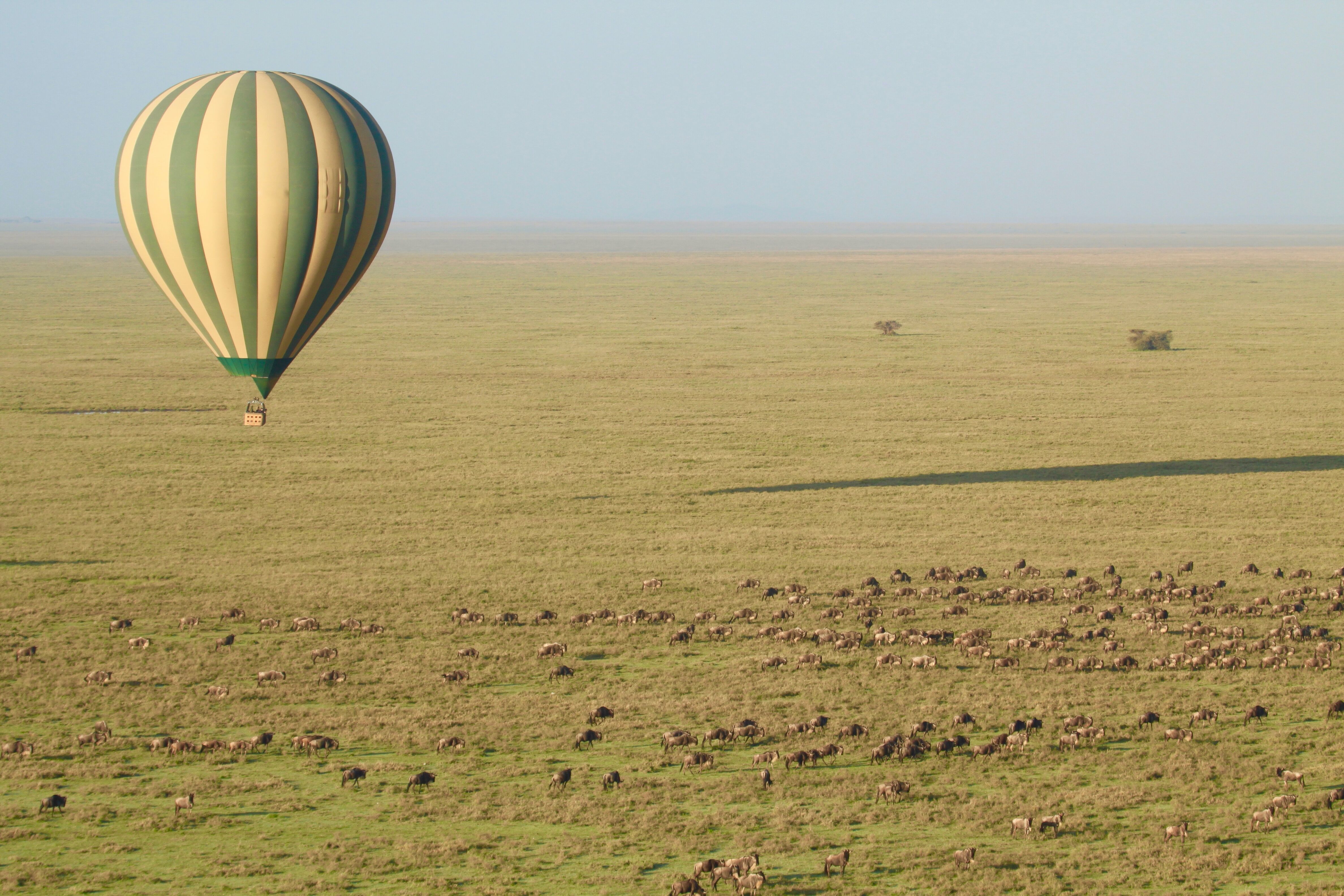 Hot air balloon safari over Tanzania